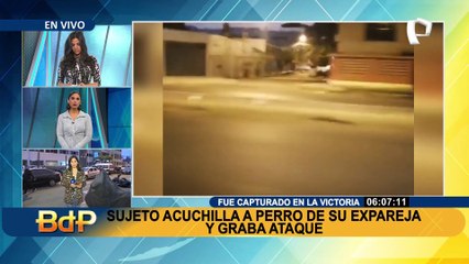 Download Video: Los Olivos: cae grupo de hampones tras asaltar a pareja cuando esperaban un taxi