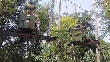 शिकार के लिए दौड़ी माथा पैंथर, थम गई सांस, देखे वीडियो