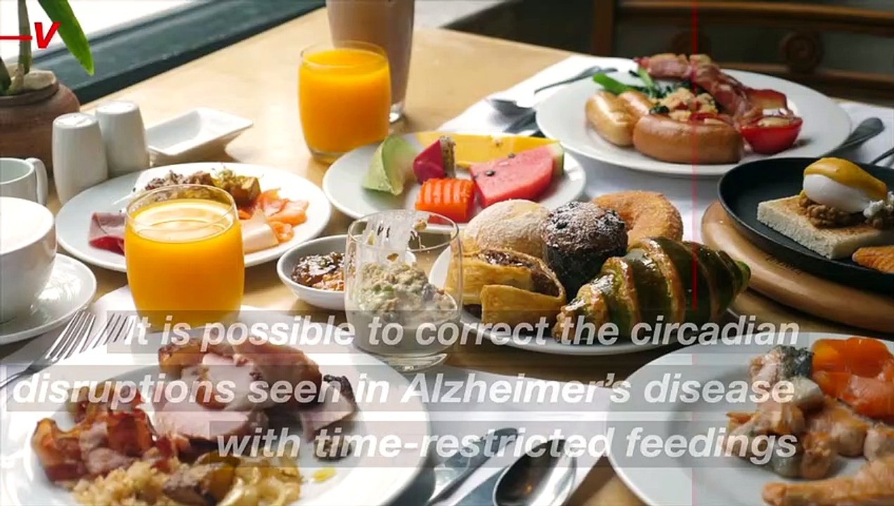 Intermittent Fasting Can Be Key to Slow Alzheim...