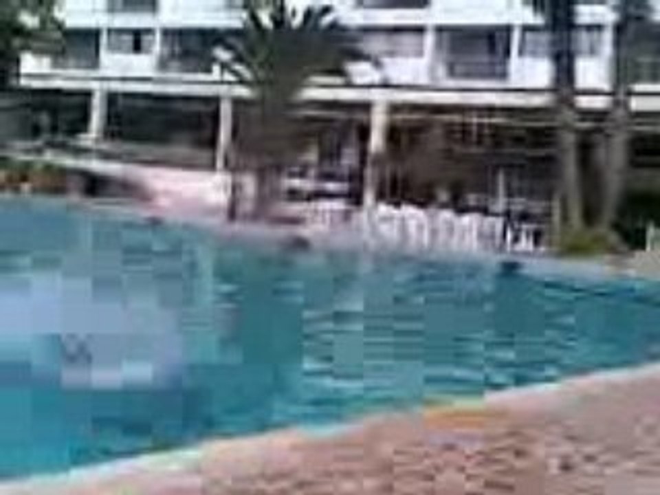 cha3ta