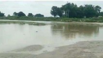 किशनगंज: बाढ़ का खतरा मंडराया, कई नदियों के जलस्तर में बढ़ोतरी, देखें वीडियो