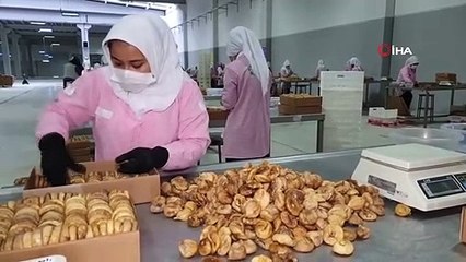 Kuru incir ihracatı son 11 ayda Türkiye'ye 241 milyon dolar kazandırdı