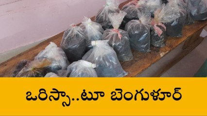 అనకాపల్లి జిల్లా: డౌట్ వచ్చి సఫారీ ఆపారు.. పోలీసులే షాక్ అయ్యారు