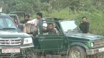 उमरिया: मादा बाघ की हुई मौत,जांच में जुटा प्रबंधन