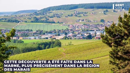 Un incroyable village du néolithique vieux de 5000 ans retrouvé par des archéologues