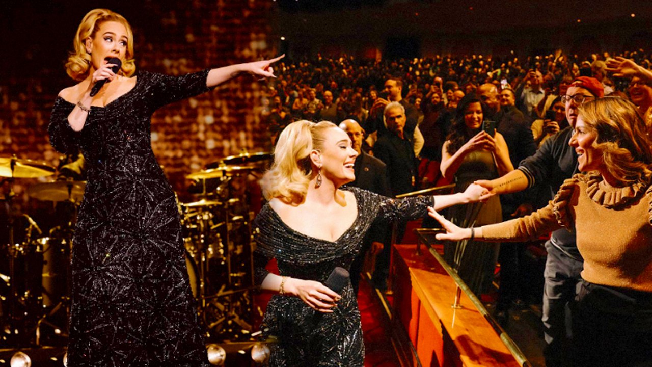 Adele Takes Break During Concert to Shield Fan from Security Harassment
