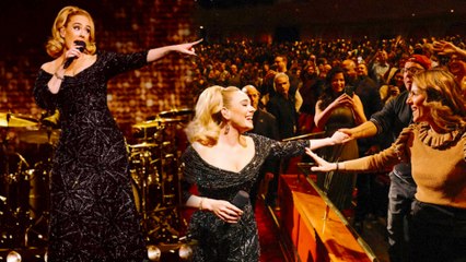 Adele Takes Break During Concert to Shield Fan from Security Harassment