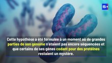 Des scientifiques établissent pour la première fois une carte complète du chromosome Y