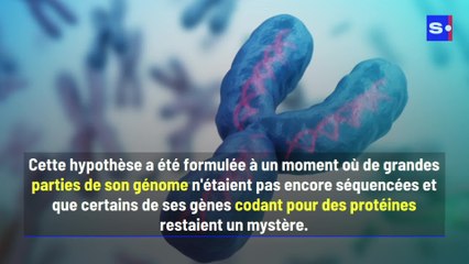 Des scientifiques établissent pour la première fois une carte complète du chromosome Y