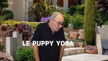 Nouvelle tendance - Le puppy yoga