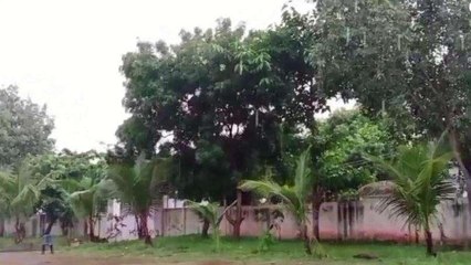 విశాఖపట్నం: జిల్లాలో విచిత్ర వాతావరణం