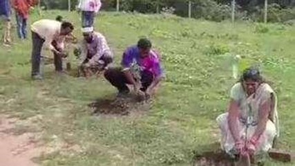 छिंदवाड़ा: अमृता देवी की शहादत दिवस पर वृक्षारोपण कर.. आज किया याद