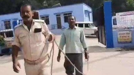 रोहतास: उत्पाद अधिनियम उल्लंघन में व्यक्ति गिरफ्तार, भेजा गया जेल