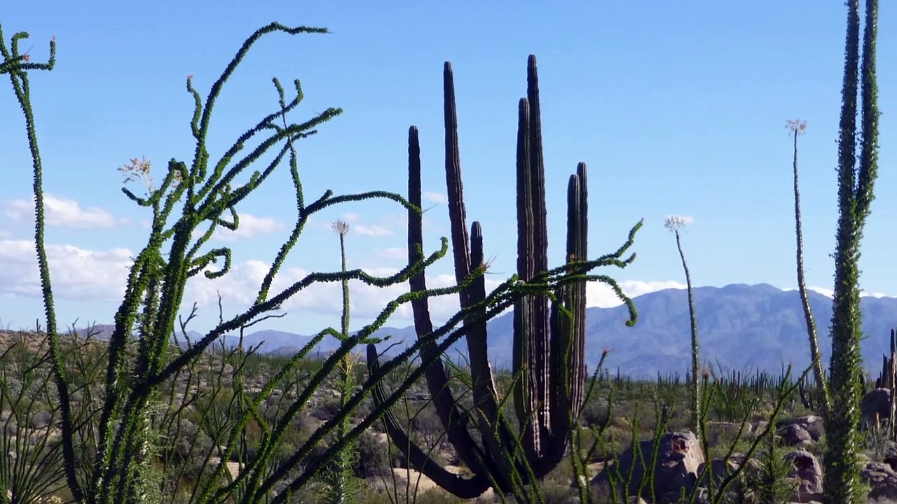 baja california by bike