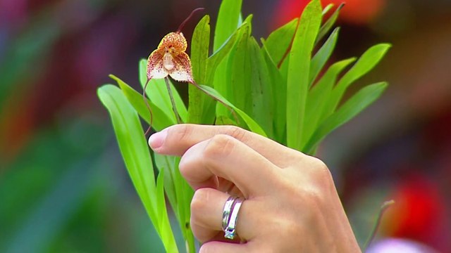 bd-publireportaje-evergreen-280823