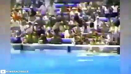 8 Times Orcas Attacked Their Trainers