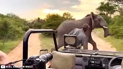 When African Safaris Go HORRIBLY Wrong...