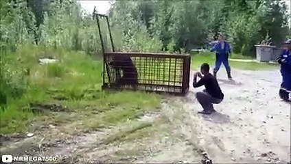 Russian Man Messes With The Wrong Bear...