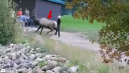 30 Scariest Animal Encounters Of The Year (2023)