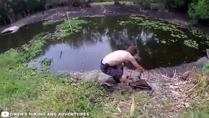 12 Times Humans Messed With The Wrong Animals