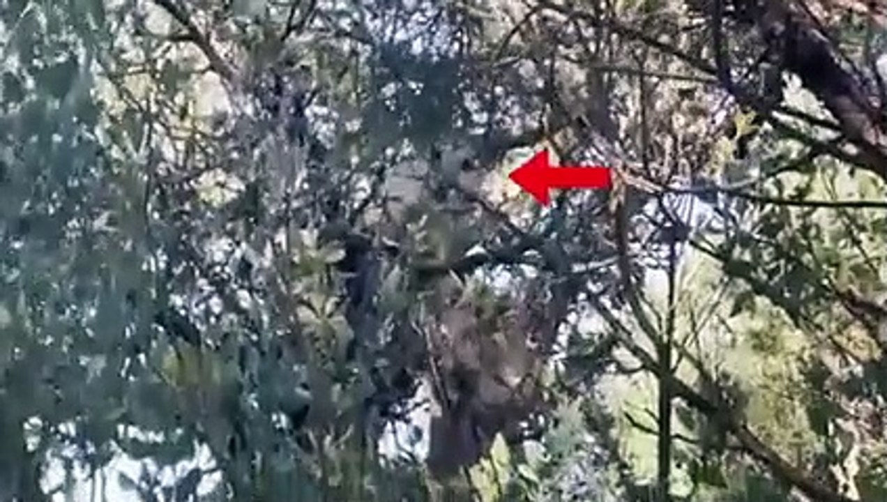 12 Times Camping Trips Went Horribly Wrong