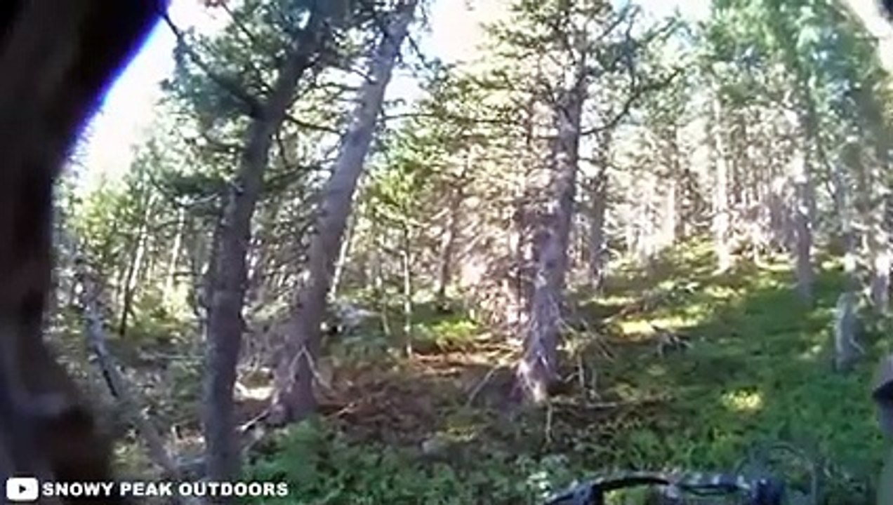 30 Times Hunters Messed With The Wrong Animals