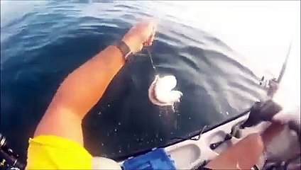If you're scared of sharks, don't watch this!