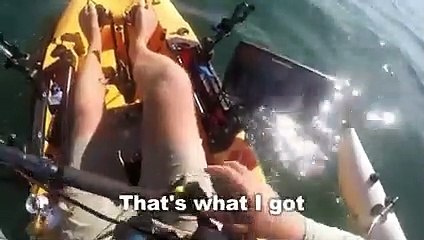 15 Scariest Shark Encounters of The Year