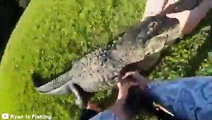 30 Scariest Crocodile Encounters of the Year (Part 3)