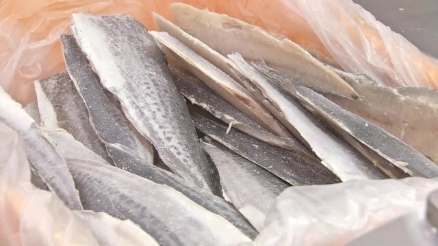 식약처 급식 수산물 방사능 관리 더욱 철저히 할 것 / YTN