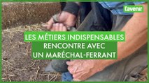 Les métiers indispensables à l'agriculture: rencontre avec maréchal-ferrant