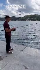 S'il n'était pas footballeur, il serait pêcheur ! La star de Fenerbahçe, Tadic, a jeté une canne à pêche dans le Bosphore