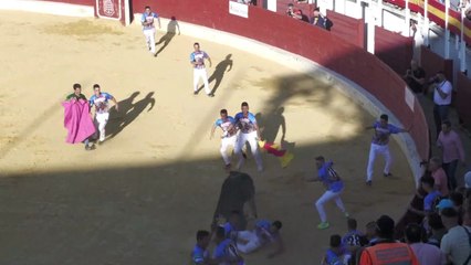 Un toro arrolla al cortador en Medina del Campo