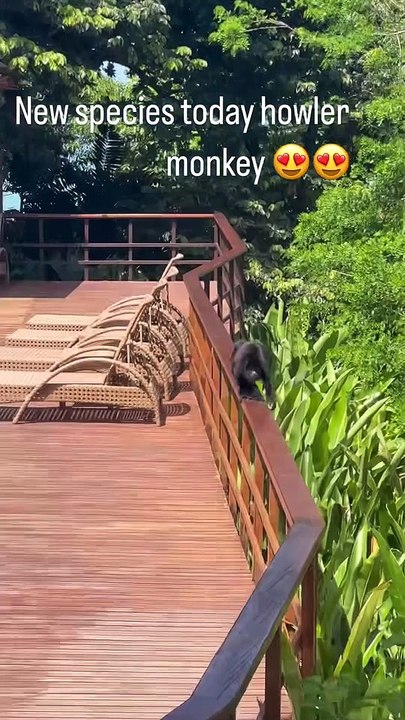 Une très belle rencontre pour Alizé Lim, qui semblent très émue