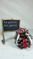 La Guerre des Gaules - Professeur Pin