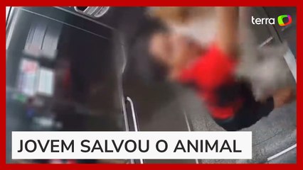 Criança salva cadela após coleira ficar presa na porta de elevador em Goiânia