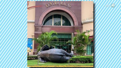 Del hada en formol al Rotoplas navegante: delgada línea entre memes y responsabilidad periodística