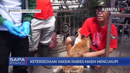 Télécharger la video: GHPR Tinggi, Dinkes Pastikan Ketersediaan Vaksin Rabies Mencukupi