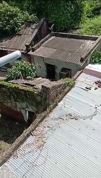 Earlier neighbor used to disturb by throwing water, on giving explanation