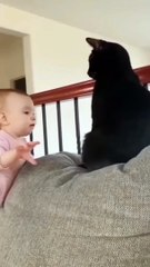 Cat and kids -------- _catadaily #catlover #catsdaily #catlove #catloversclub #catlovers #catlife #catslover #usacats #usacat #usa  #usa #usacatlovers #usacats