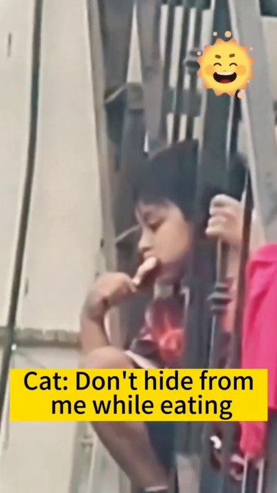 Cat- you should share