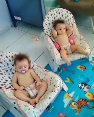 Cheerful Kids Adventures in Dwarf Size!.#Babies #baby #fashion #childhood #Love #adorable #babygirl #babyboy #pregnancy #kids #kid #Beautiful #style #mother #cu