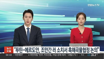 "푸틴-에르도안, 조만간 러 소치서 흑해곡물협정 논의"