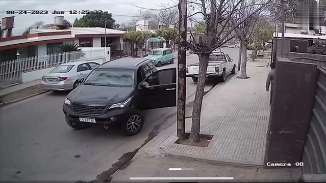 “Tu perro te chocó el auto”, el insólito accidente que quedó grabado por una cámara de seguridad