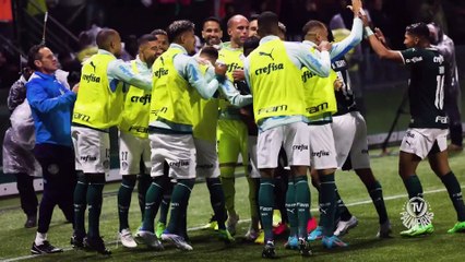 Abel e jogadores do Palmeiras mandam forças a Dudu após lesão