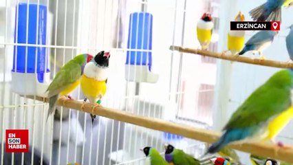 Erzincan'da aşırı sıcaklarda egzotik kuşlar günde 2 kez banyo yaptırılıyor