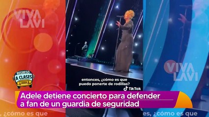 Adele detiene concierto para defender a fan de un guardia de seguridad
