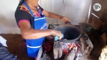 Gracias a Sembrando Vida producen delicioso pinole para sostenerse en Ampliación Tenochtitlán