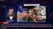 Antivaxx spreads to pet owners: HALF of dog owners now hesitant about