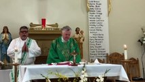 Catholic Mass Today I Daily Holy Mass I Tuesday August 29 2023 I English Holy Mass I 5.00 AM